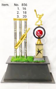 Cricket Pitch Miniature Sports Trophy