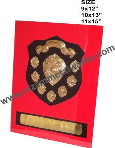 Fancy Sports Shield