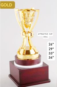 Imperial Championship Gold Plated Trophy