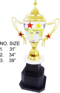 International Victory Sports Cup