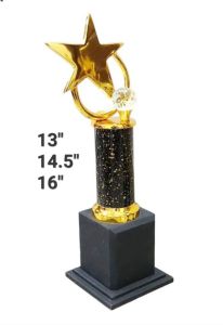 Meridian Crystal Accent Star Trophy