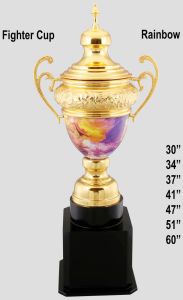 Rainbow Scroll Handle Sports Cup