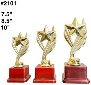 Star Plastic Trophy
