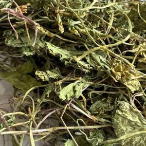 Dried Brahmi Leaves