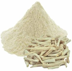 Shatavari Powder