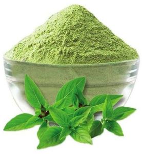 Tulsi Powder
