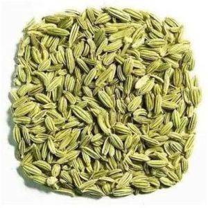 Fennel Seeds