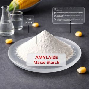 Amylaize Maize Starch Food Grade