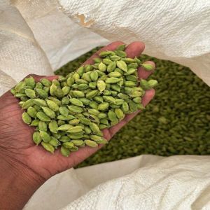 Green Cardamom Pods
