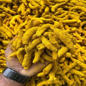 Turmeric Finger