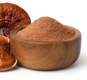 20% Ganoderma Reishi Mushroom Extract