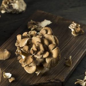 30% Maitake Mushroom Extract