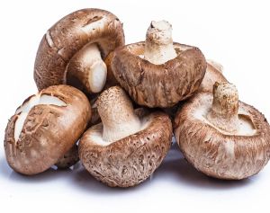 30% Shiitake Mushroom Extract