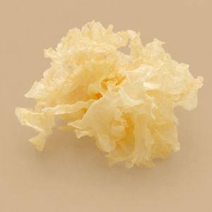 30% Snow Mushroom Extract