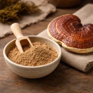 40% Ganoderma Reishi Mushroom Extract