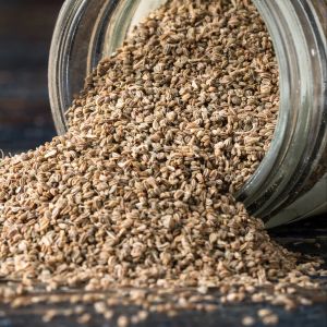 Celery Seeds
