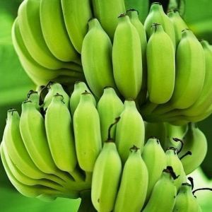 Fresh Green Banana