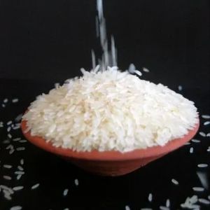 IR 64 Rice