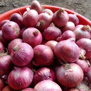 Red Onion