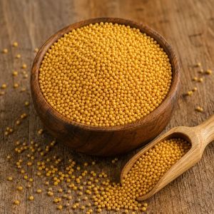 Yellow Mustard Seeds