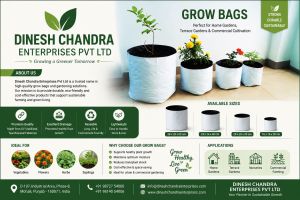 Hydroponic Grow Bags