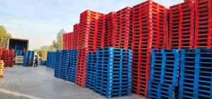 Coloured Pinewood Pallets