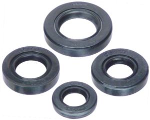 Oil Seal Kit SE-385