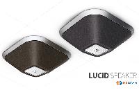 360 Degree Passive Ceiling Mount Speaker