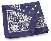 Blue Bandanas