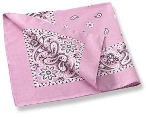 Taffy Pink Bandanas