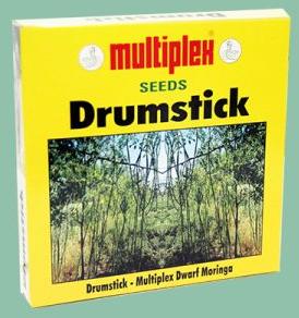 Dwarf-moringa-(Drumstick) seeds