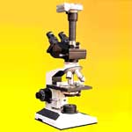 Trinocular Coaxial Microscope