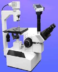 Focus Trinocular Tissue Culture Microscope