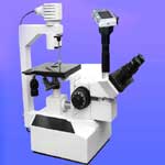 Focus Trinocular Tissue Culture Microscope (TCM-3)