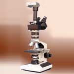 Trinocular Polarizing Microscope