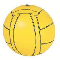 inflatable sports balls