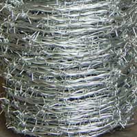 Barbed Wire
