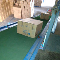 Carton Conveyor
