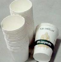 Biodegradable Paper Cups