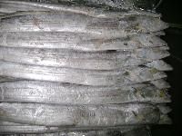 Frozen Ribbon Fish