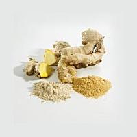 Dried Ginger Powder