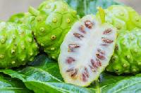 noni juice powder