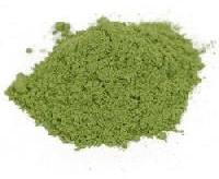 Gymnema Sylvestre Extract