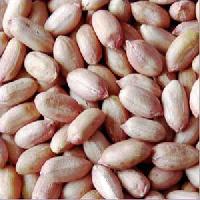 Groundnuts