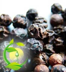 Black Pepper Seeds Oil