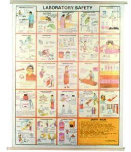 LABORATORY SAFETY CHART