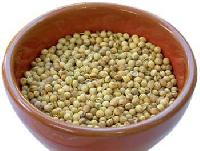 Coriander Seeds