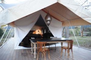 jungle safari tent