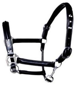 Horse Leather Halter