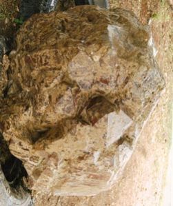 Minerals 02